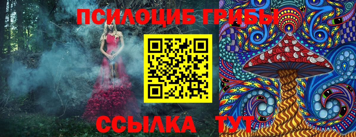 Галлюциногенные грибы Psilocybine cubensis Горно-Алтайск